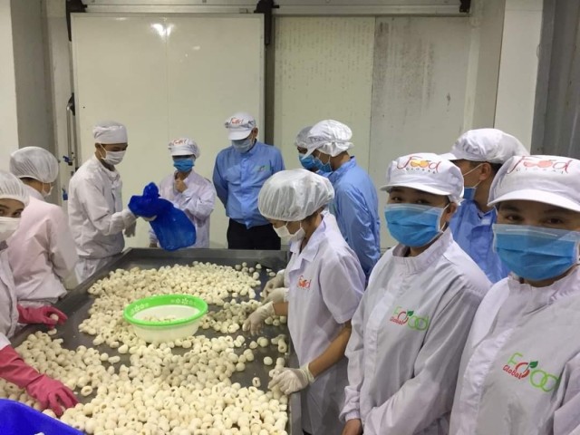CNTP 1